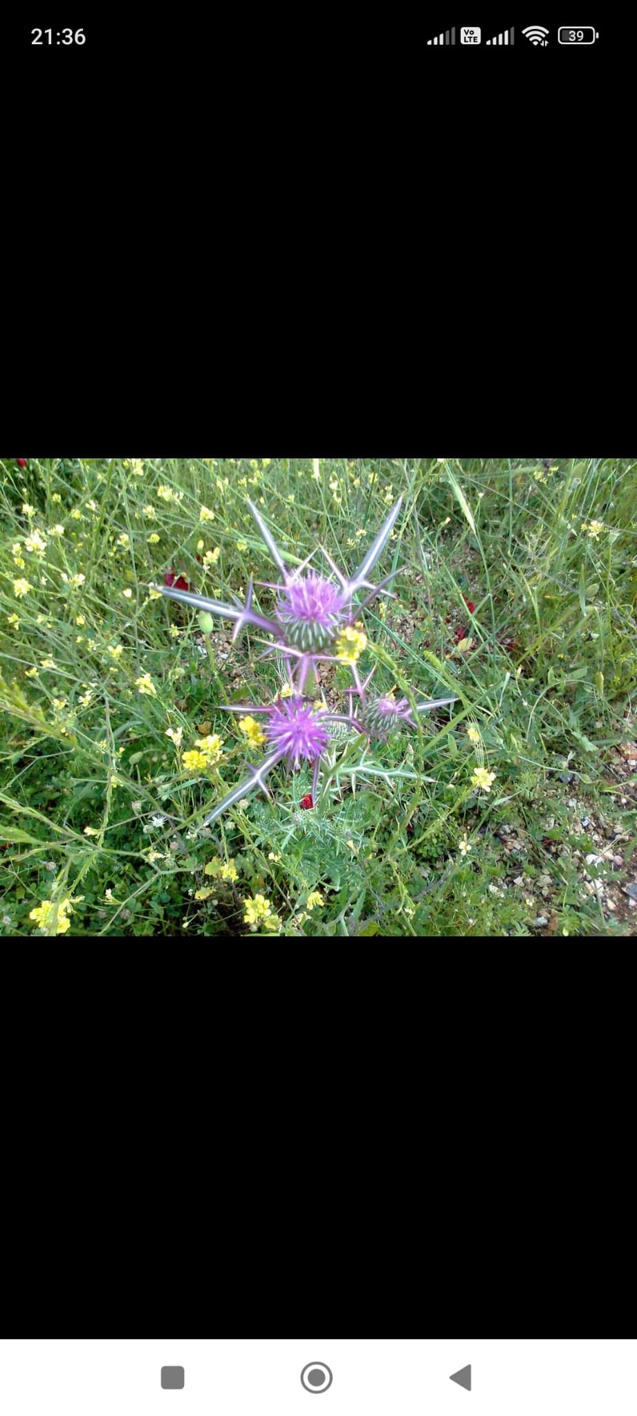 Köyümüzden Kareler 